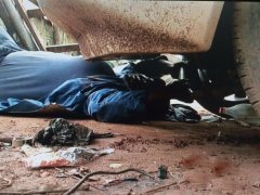 东风街道汽车救援